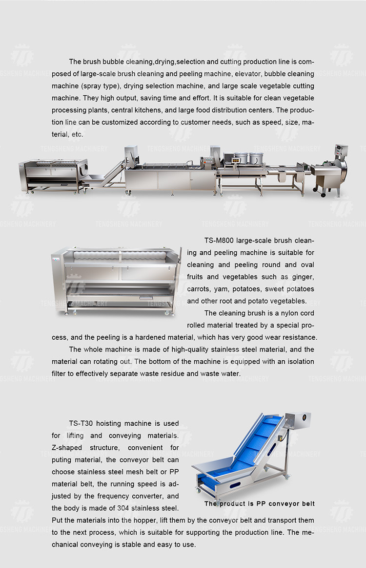 SS304 Fruit And Vegetable Processing Line For Central Kitchens