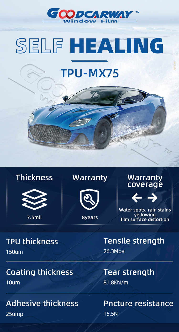 Glossy PPF 7.5mil Wet Application Hydrophobicity Self Healing PPF 8 Years Warranty