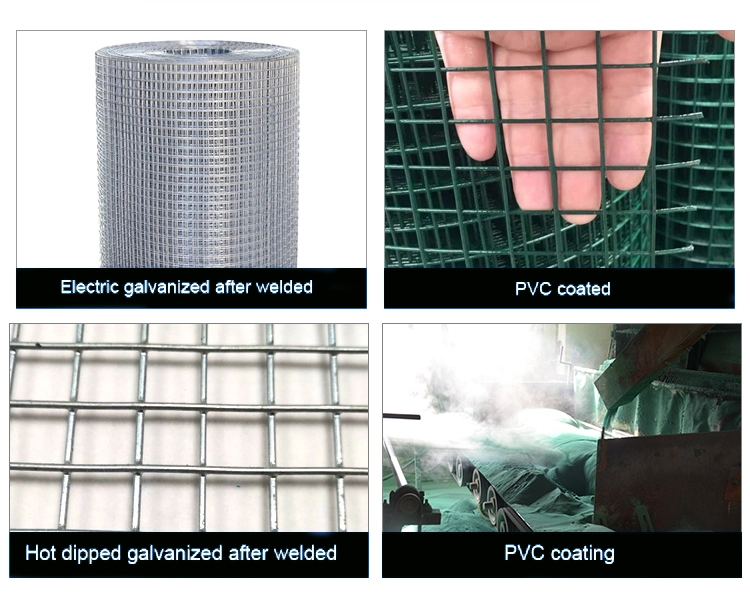 Hot Dipped Rabbit Bird Cage Stainless Steel Galvanized Construction Welded Wire Mesh