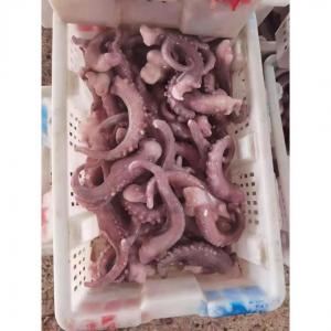 Buy cheap For Thailand Fish Market A Grade IQF Frozen Indian Squid Tentacles Cut Wholes product