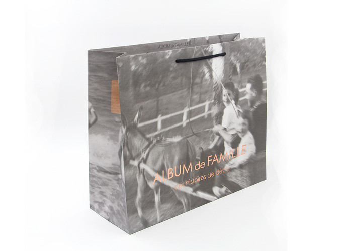 Fancy Personalised Paper Bags / Printed Paper Carrier Bags Offset Printing