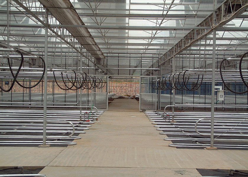 Heat & Cool Adjustable, Beautiful Good Looking VENLO Glass Greenhouses