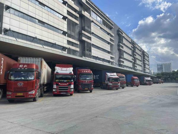Guangdong The Bonded Warehouse Government International Logistics Pick And Pack