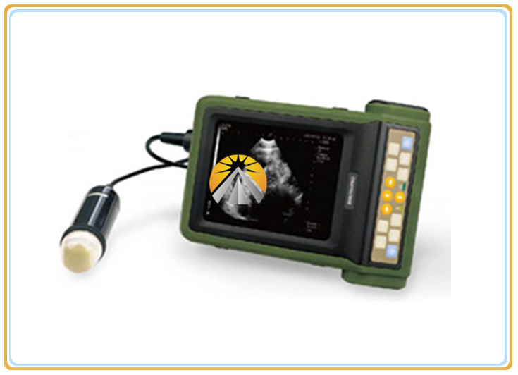 Precise Portable Veterinary Ultrasound Machine , Durable Bovine Ultrasound Machine