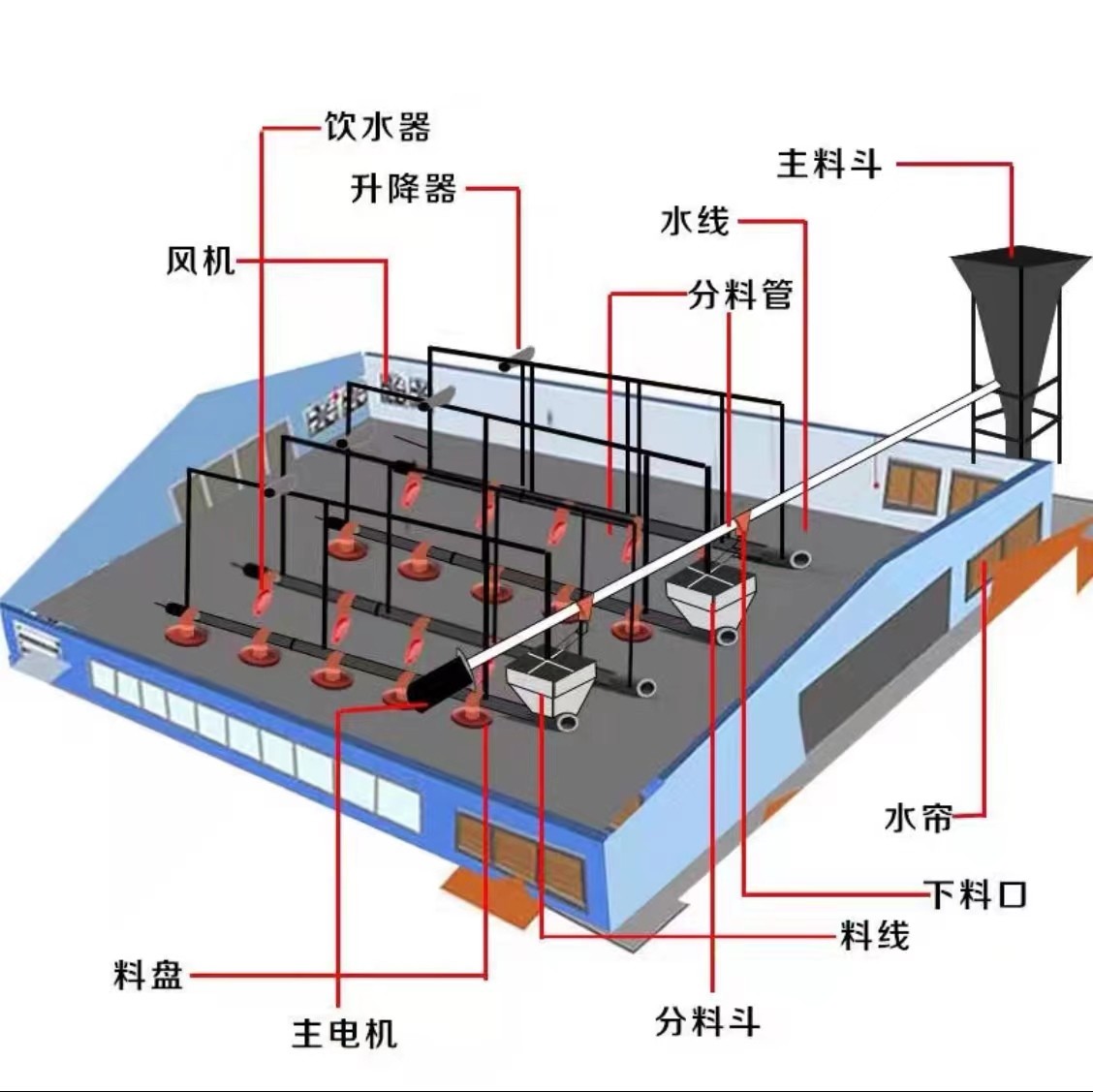 Broiler Automatic Pan Feeding System 380V Automatic Pan Feeder