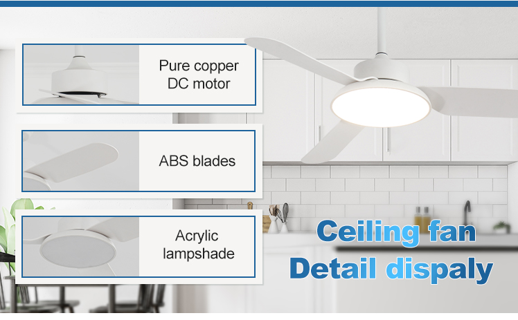 Modern Design 3 Blades LED Ceiling Fan with Remote Control and 110-240V Input Voltage
