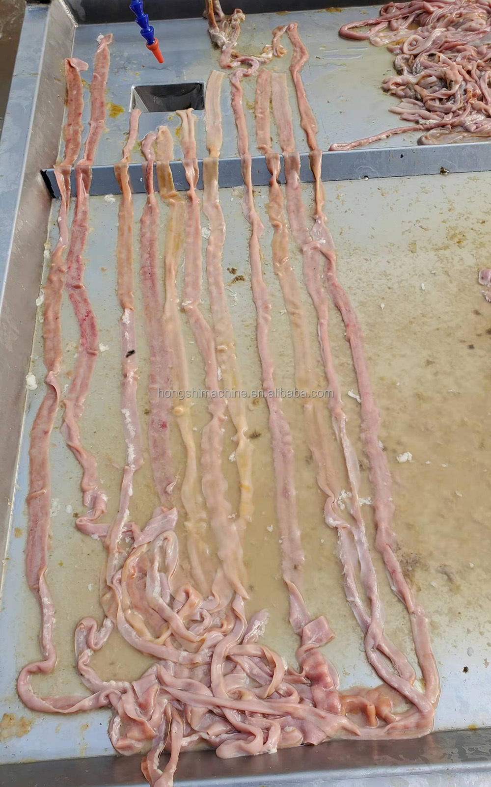 Labor Saving Chicken Duck Intestine Cutting Washer Machine / Intestine Washing Cleaner / Tripe And Offal Cleaning Machine