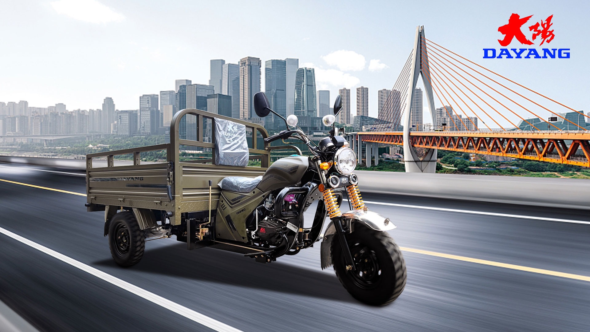 Three Wheel Motorcycle Scooter Trike Petrol Type Motorcycle 1000W Motor for 1 Passenger