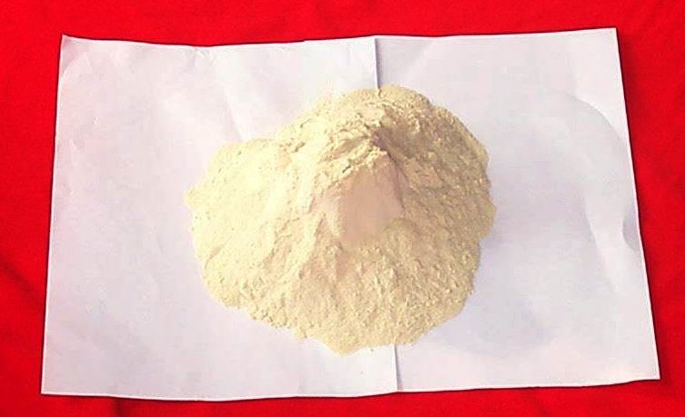 Food Industry Wheat Gluten Protein 25 Kg / Bag 24 Months Shelf Life