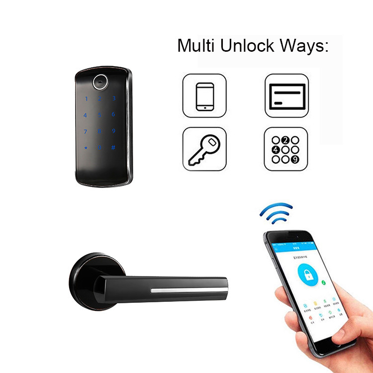 WiFi Password Door Locks ANSI Touch Screen Keypad Door Lock