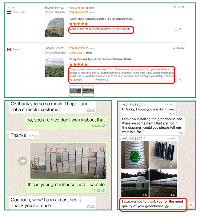 Light Deprivation Plastic Agriculture Blackout Single Span Greenhouse For Medical