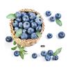 Buy cheap 2015 TOP hot selling Bilberry Extract from wholesalers