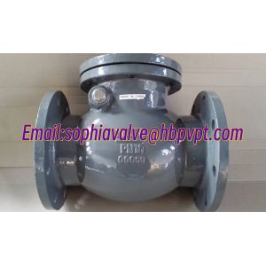 Design standard DIN GG25 metal seal cast iron check valve