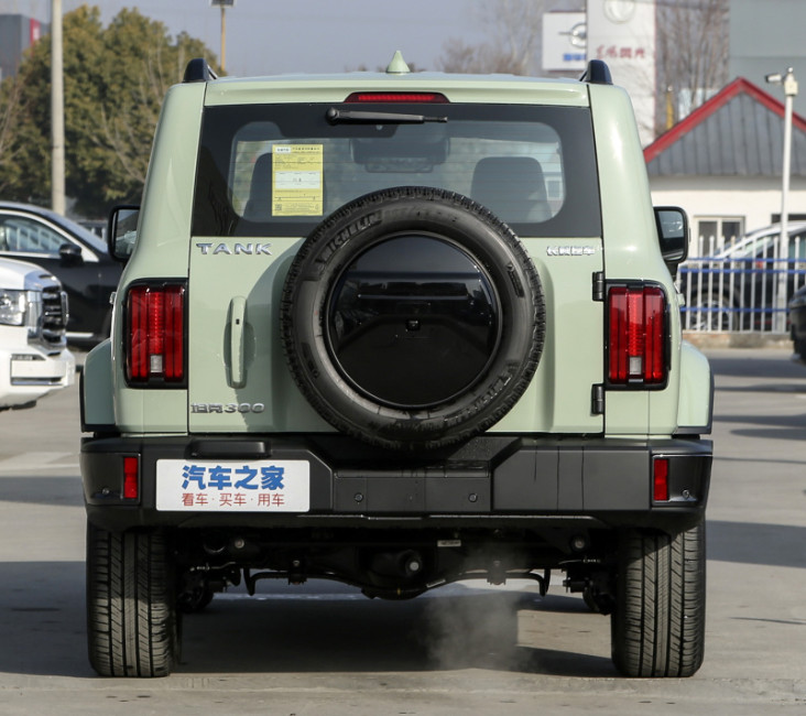 2023 Tank300 2.0T City Model Must Version Compact SUV 5 Door 5 seats