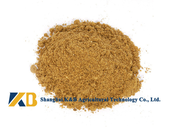 Feed Grade Fish Meal / Natural Animal Feed Contains Various Nutritions