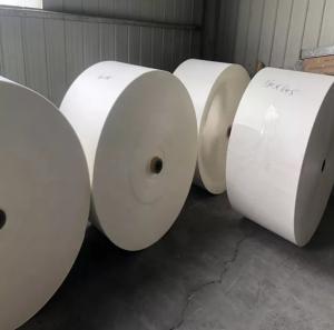 Buy cheap OEM 190gsm 260gsm PE Coated Cup Stock Paper In Roll Sheet product