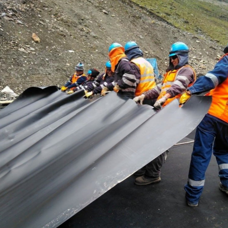 HDPE Geomembrane Fish Pond Liner 0.5mm 1mm 2mm for Modern Landfill Sites Design Style