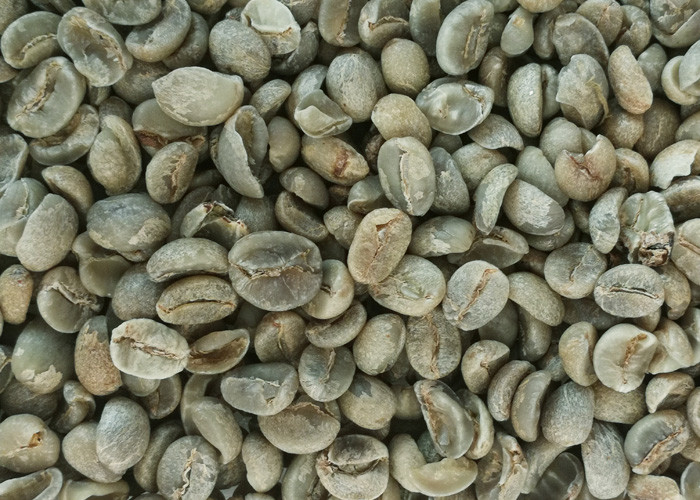 CE Certificate CCD Sensor Bean Color Sorter Coffee Beans Processing Machine