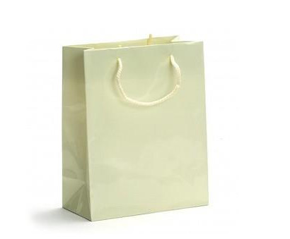Recycled Paper Carrier Bags