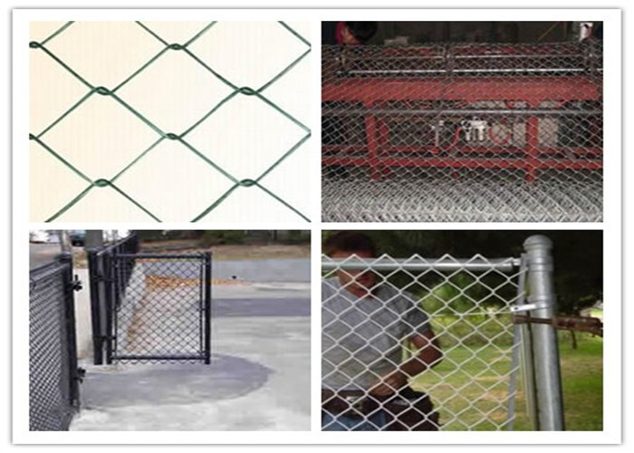 Chicken Animal Control L10m W4m 40*40mm Chain Link Security Fence