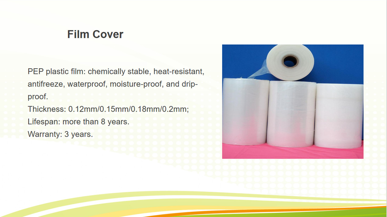 Commercial Multi Span Greenhouse Plastic Film Greenhouse For Vegetable Growing