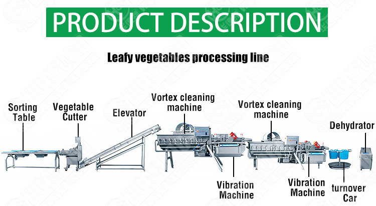Automatic Anti Corrosive Strong Acid Liquid Chlorine Fluid Water Bottling Toilet Deodorant Filling Machine Cleaning Product Line
