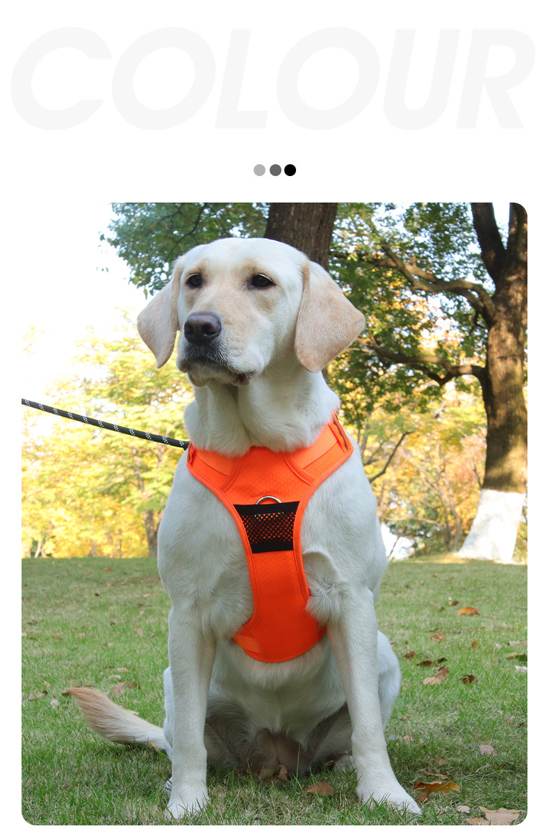Pet Massage Chest Harness Reflective Breathable Mesh Vest Style For Small Medium And Large Dogs