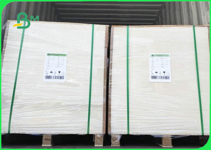 Absorbent paper 