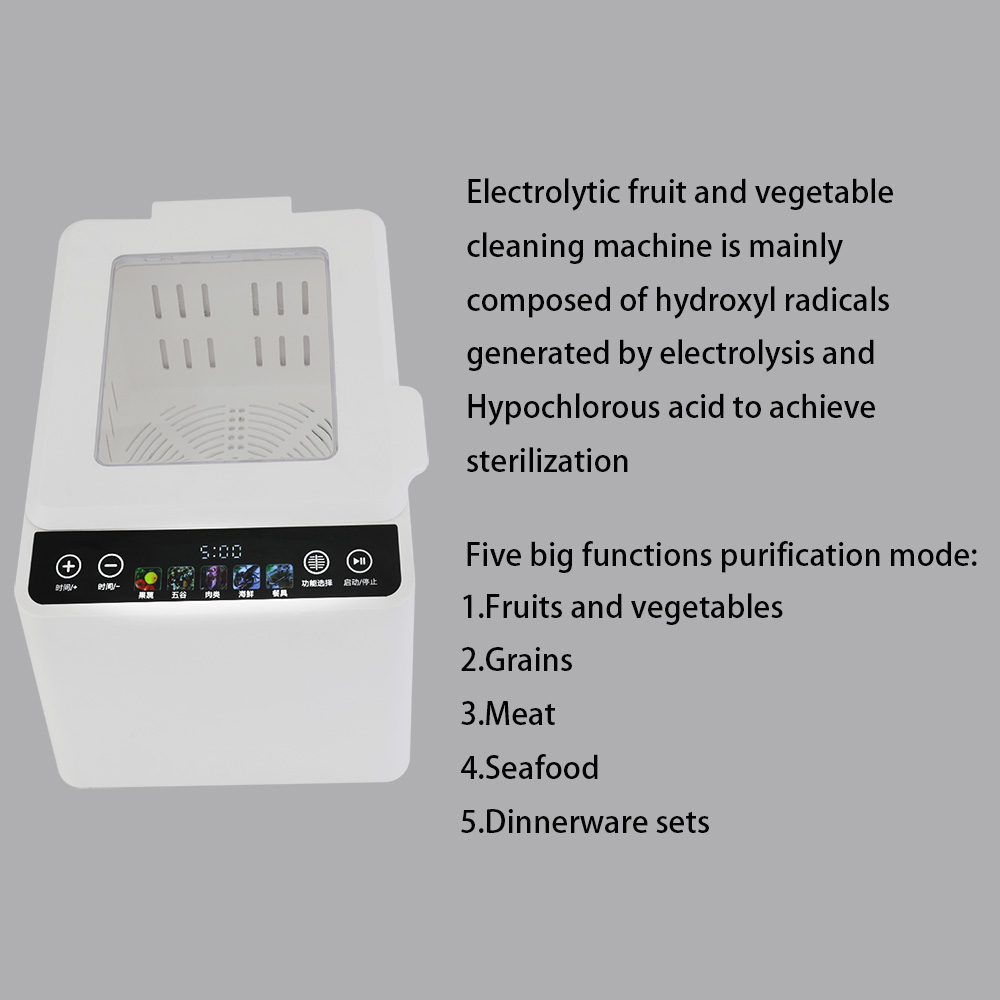 Factory hot sale 500W fruit vegetables washing machine white vegetable washing machine