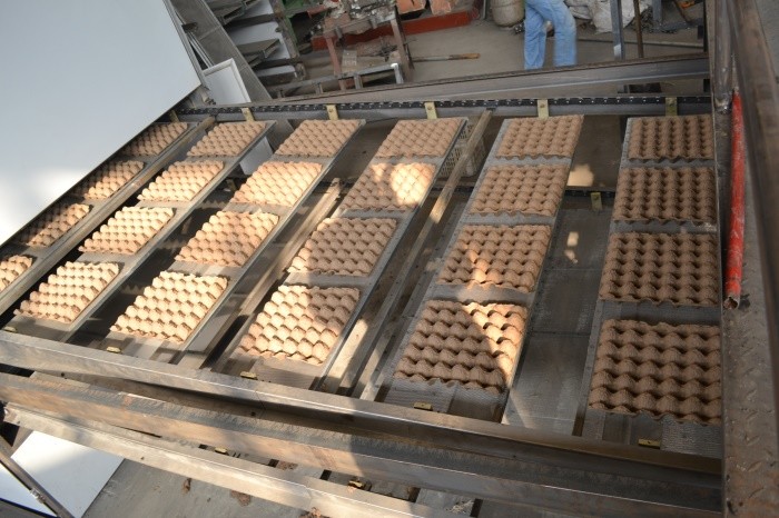 Large capacity 6000 pcs automatic egg tray making machines paper recycling machine