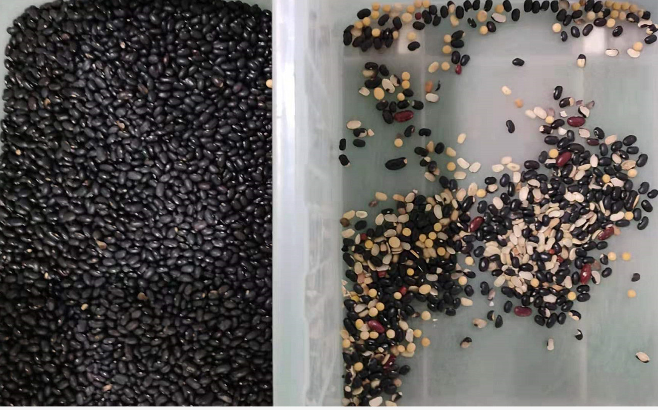 Automatic Soybean Kidney Lentil Beans Color Sorter Customized