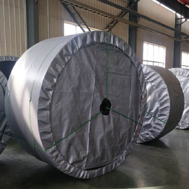 1300mm NN300 Whole Core Fire Retardant Conveyor Belt