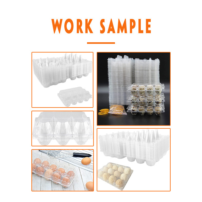 Four stations Egg Tray Manufacturing Machine Egg Packaging Thermoforming machine