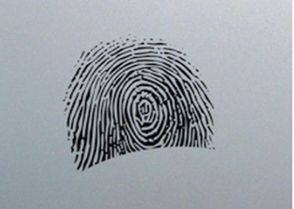 Quality Anti Fingerprint Cold Rolled Stainless Steel Sheet 0.2mm - 3.0mm Thickness for sale