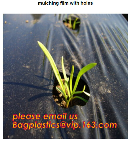 0.1mm 0.12mm 0.15mm 0.18mm 0.2mm 0.25mm hydroponic agriculture white/black panda opaque polyethylene PE film BAGPLASTICS