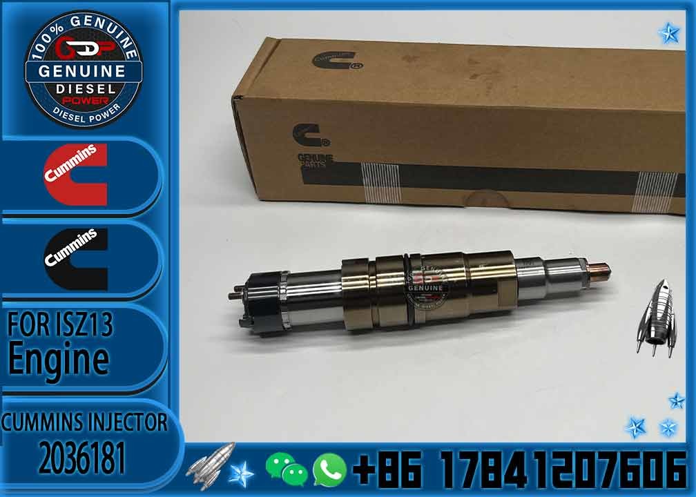 Common Rail DX350 Fuel Injector 2488244 2036181 0984302 180745090 DDJ8L0HW2 Diesel Engine