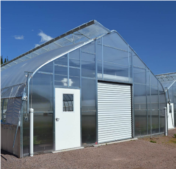 Multi-Span Agricultural Greenhouses with Used Container Hydroponic Growing Systems
