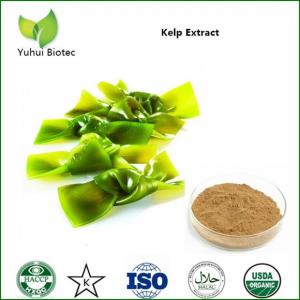 China fucoxanthin supplement,fucoxanthin powder 10%,kelp p.e.,kelp seaweed powder on sale