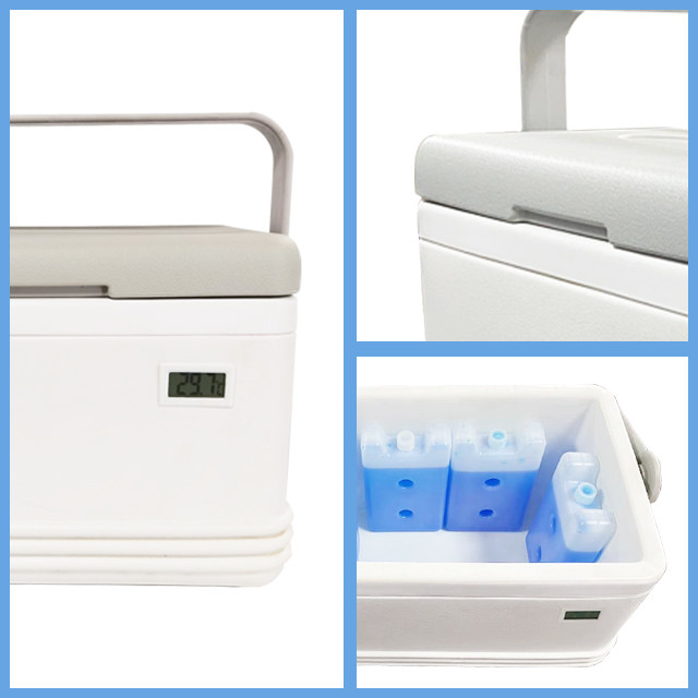 Temperature Sensitive Medical Cooler Box 8liter Cool Medicine Box