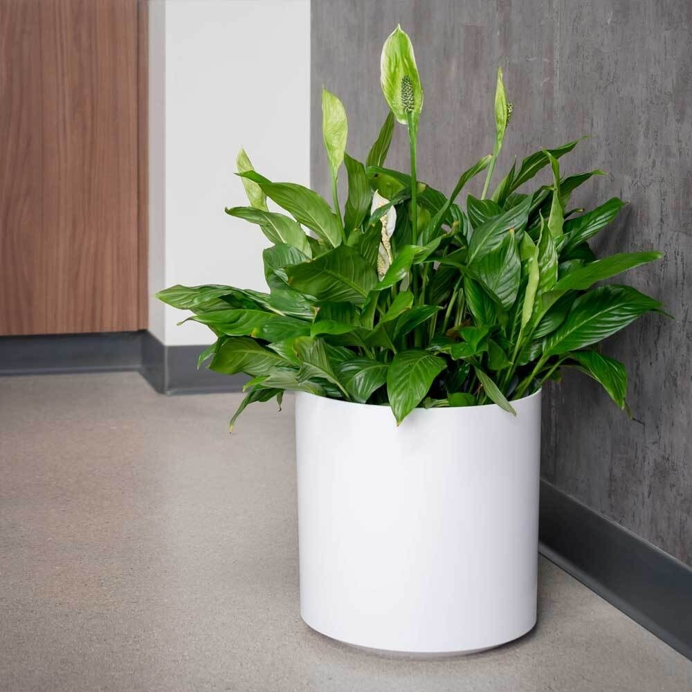 Customized Fiberglass Flower Plant Pots Round For Indoor Plants