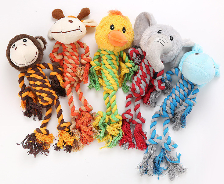dog chew toy