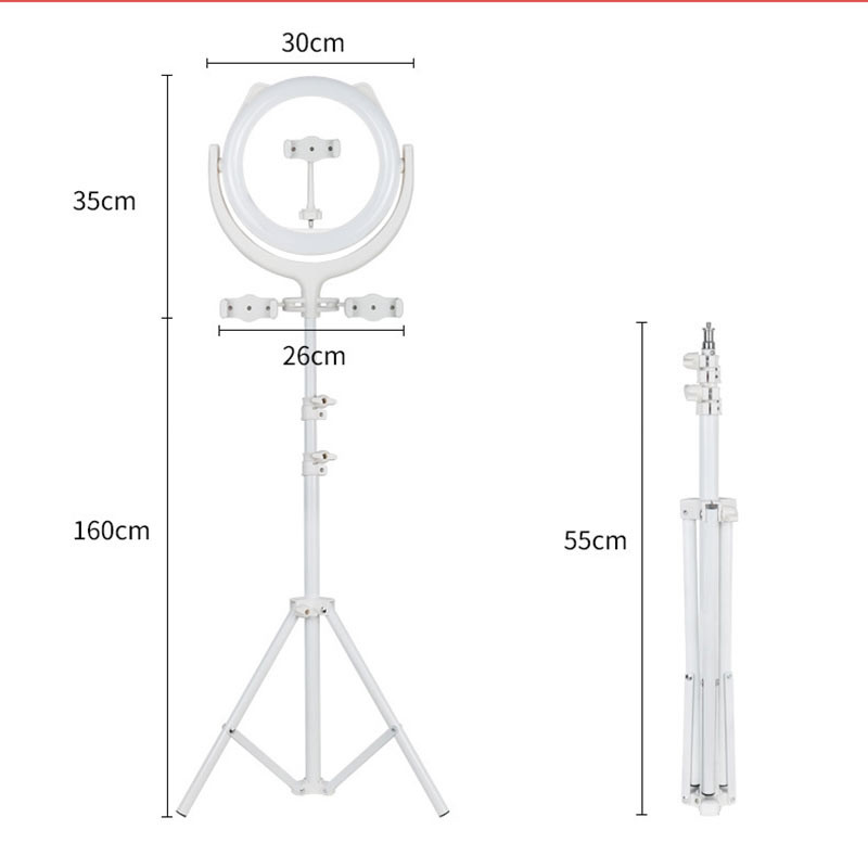 33 Options 4500K Beauty Ring Light With Adjustable Stand