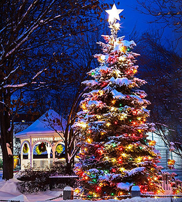 25ft Multi Color Christmas Lights C7 Ip44 For Holiday Party Wedding