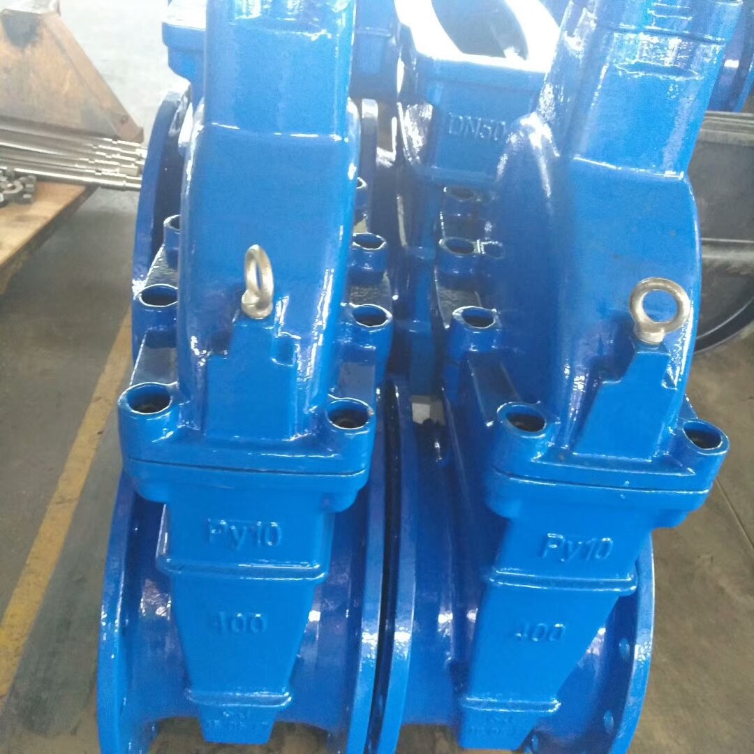 NRS ANSI DIN3352 F4 F5 Rubber Resilient Seated Cast Iron non-rising Stem Gate Valve HT200 BS Flanged Manual Handwheel