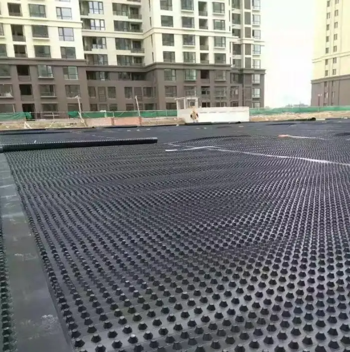 Modern Engineering Construction Waterproofing Water Storage Drainage Board for Roof Garden