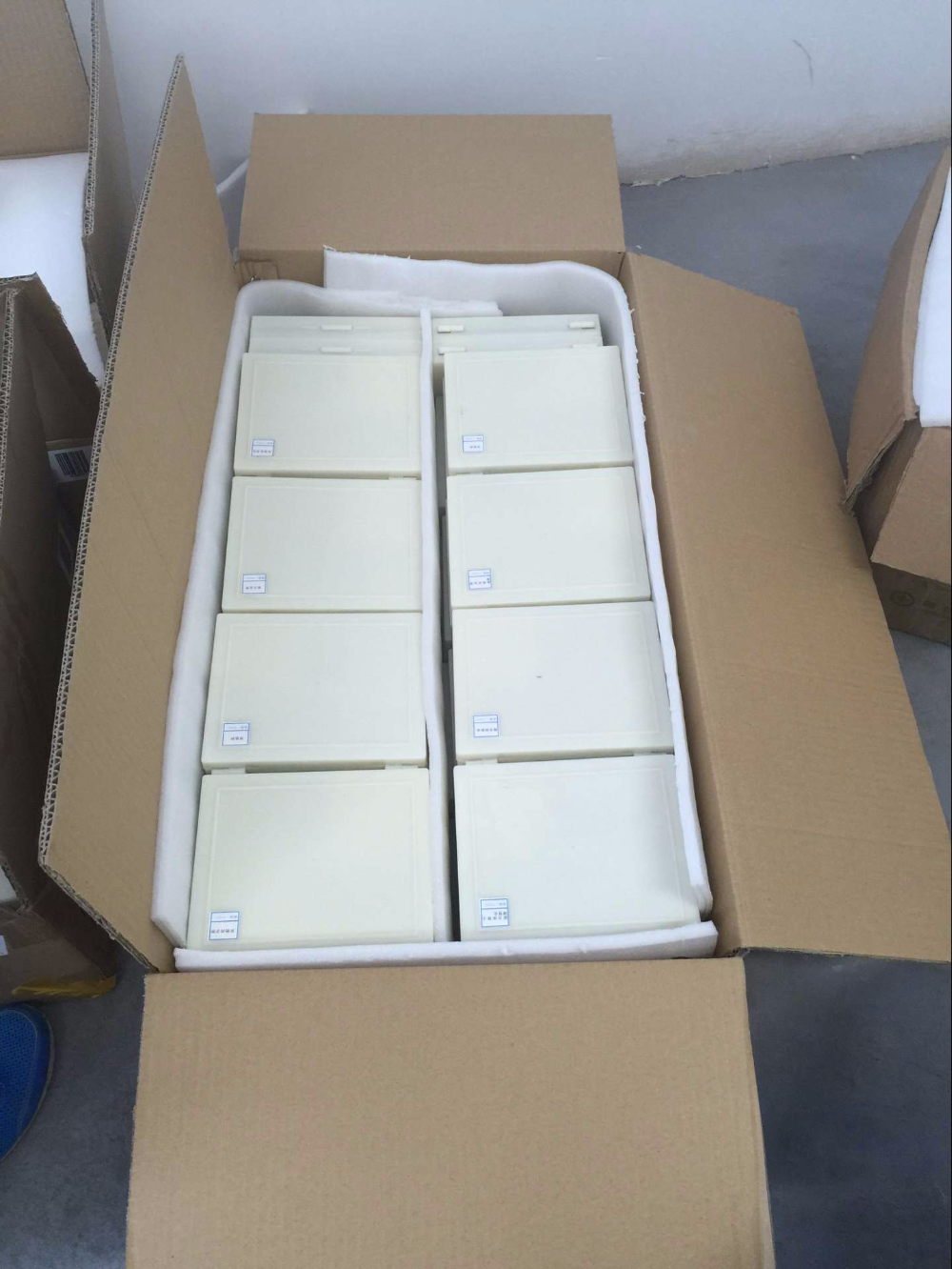 Basic Histology Histological Prepared Glass Slides Microscope Tissue Specimen 25pcs