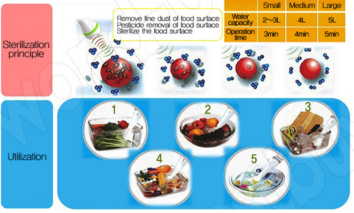 Family Pack Ultrasonic Automatic Ozone Vegetable And Fruit Purifier Remove Metal Conta
