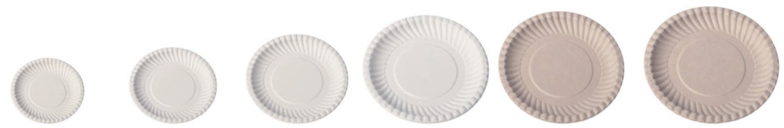 Sugarcane Bagasse Pulp Disposable Party Plates , Bamboo Compostable Plates
