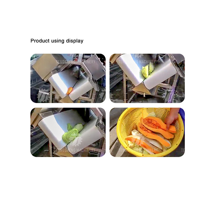 Stainless Steel Vegetable Processing Machine 1.1KW Fruit Cutting Halt Machine