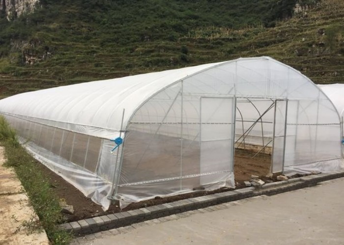 Polycarbonate Greenhouse For Sale Single Span Greenhouse Gothic